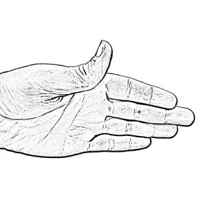 Thumb IP hand graphic